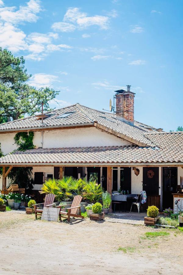 Hotel La Ferme Du Miouat Saint-Julien-en-Born Exterior foto