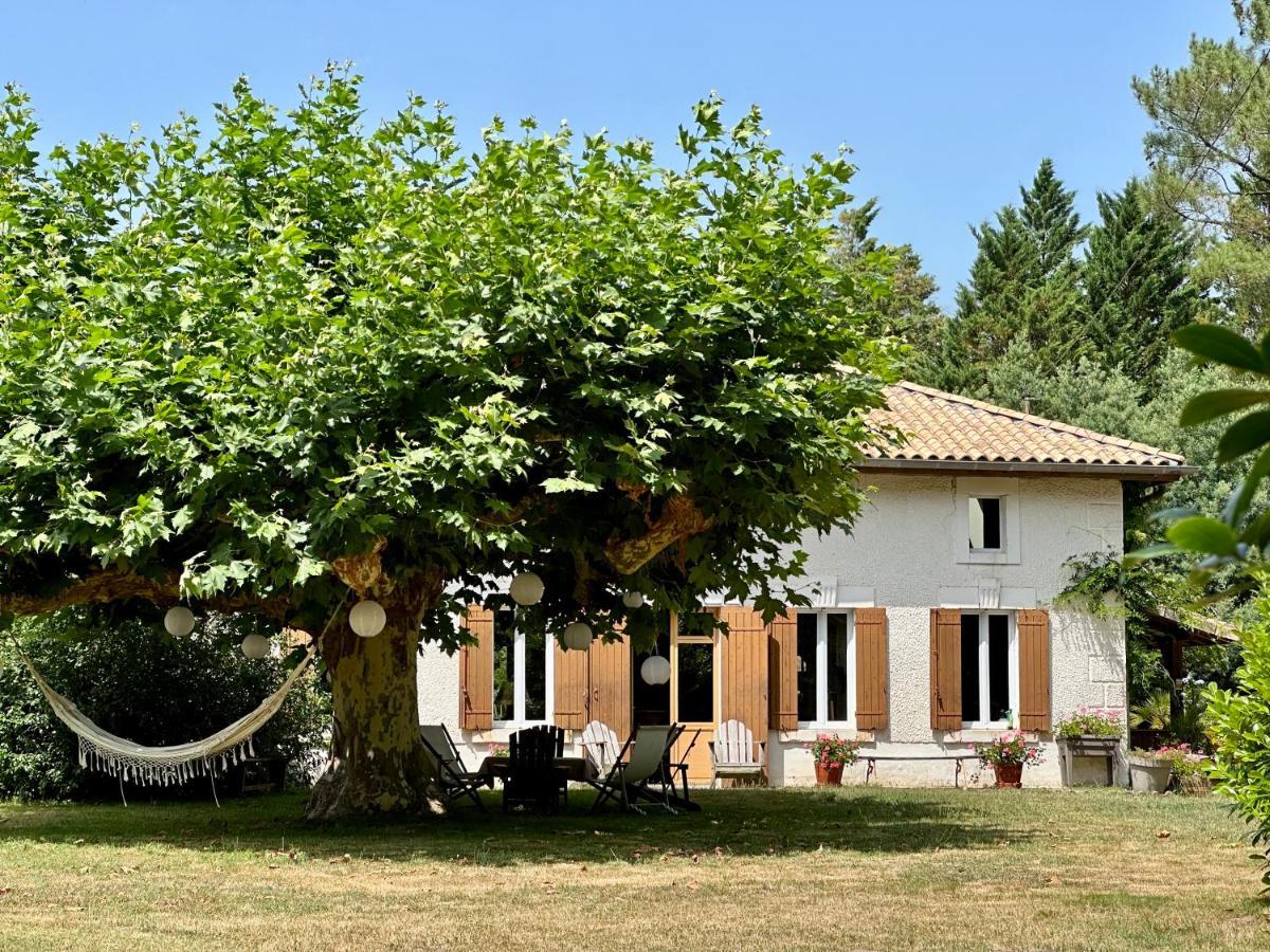 Hotel La Ferme Du Miouat Saint-Julien-en-Born Exterior foto