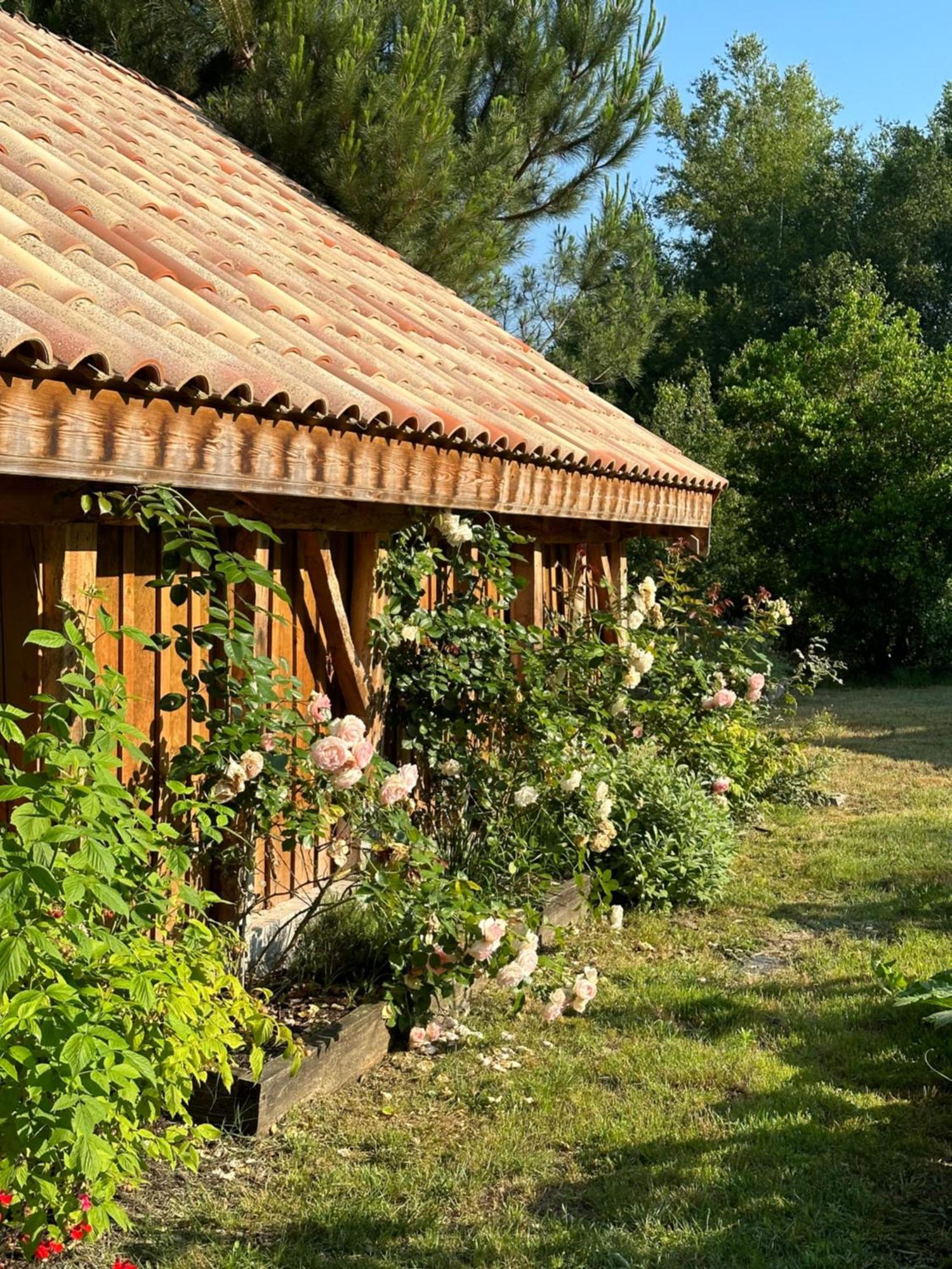 Hotel La Ferme Du Miouat Saint-Julien-en-Born Exterior foto